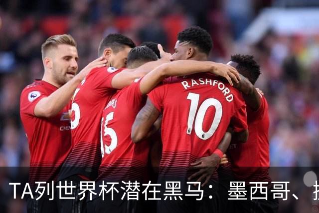 TA列世界杯潜在黑马：墨西哥、挪威、塞内加尔、日本、厄瓜多尔
